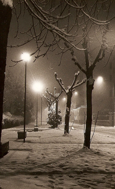 ...come la neve, non fa rumore....