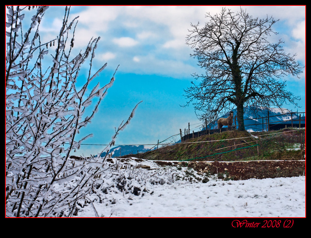 Winter 2008 (2)