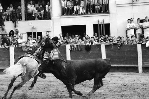 Corrida