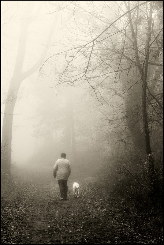 Attraversando l'inverno...