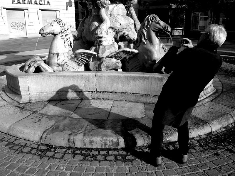 l'amico di caccia....