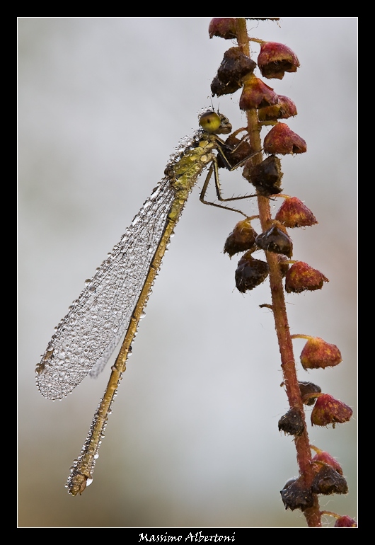 Arrampicata libera...