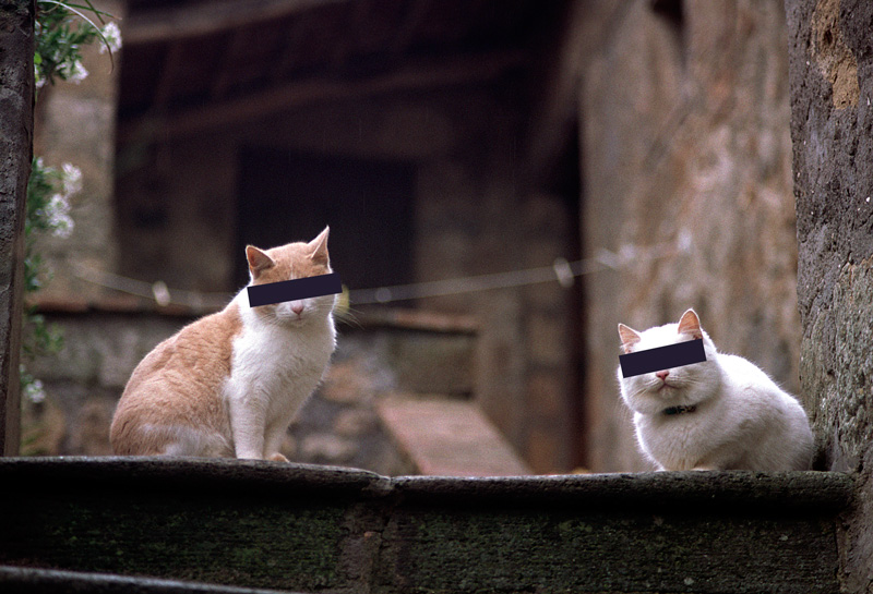 questa � l'idea 2/2