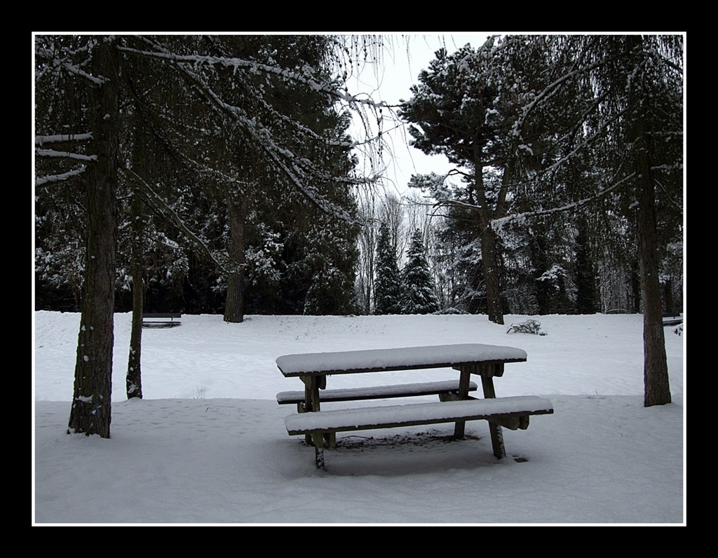 Sar� mica troppo freddo per un picnic ?