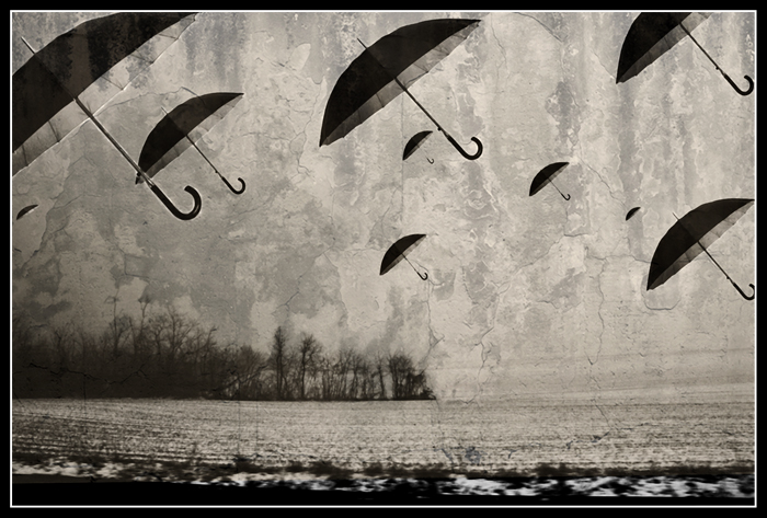 the more i see the less i know for sure