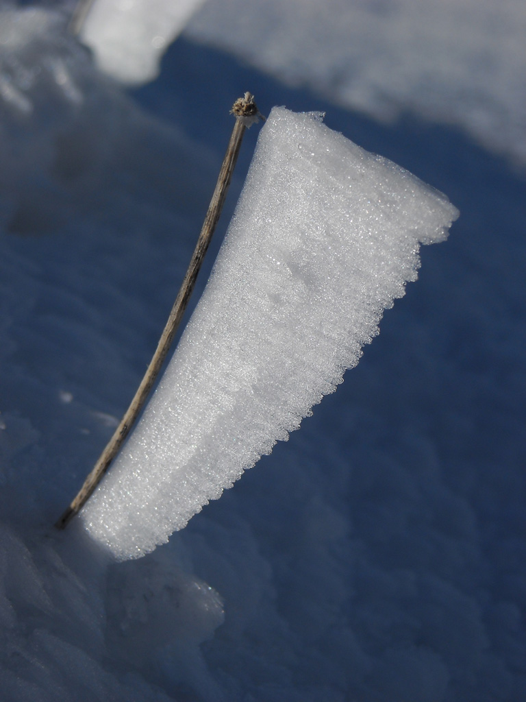 vela a 1500 metri...