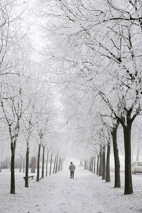 Neve in giardini a Viadana, Gennaio 2009