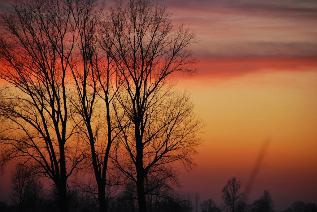 Sensation in the evening