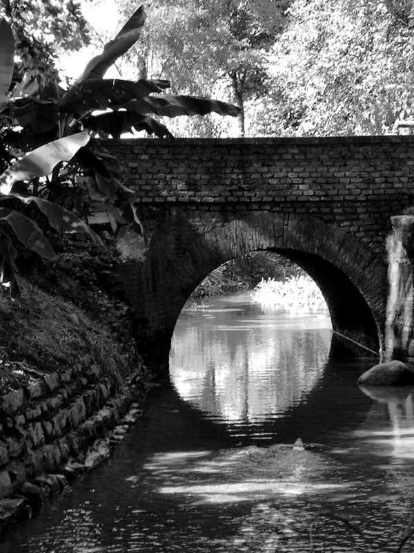 sotto il ponte i fontanili