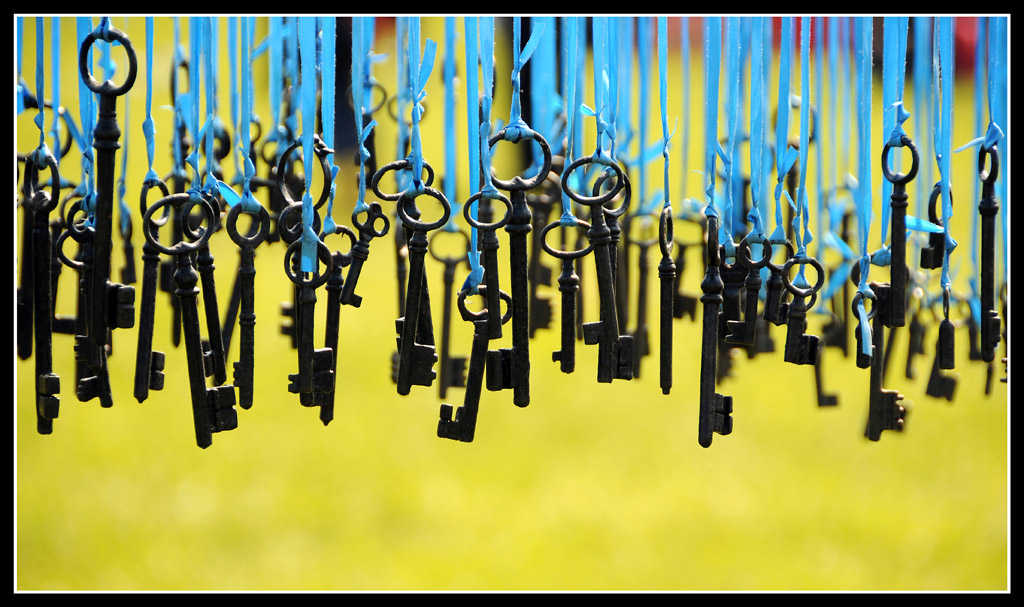 Quale sar� quella buona?