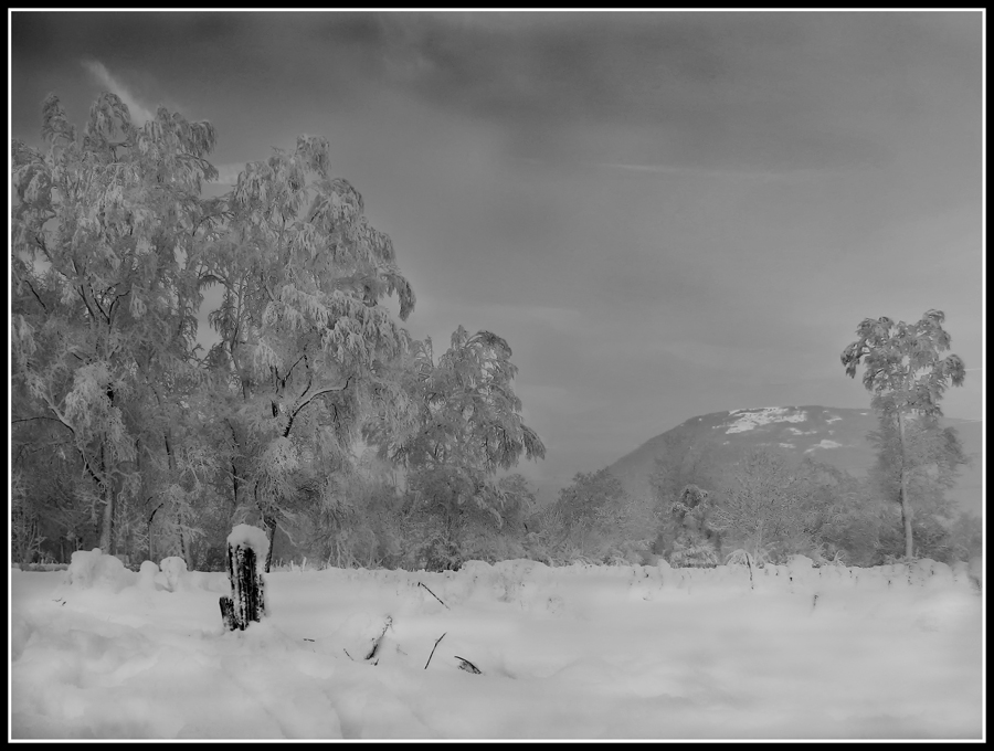 ...  meno quindici (Anz� - BL)