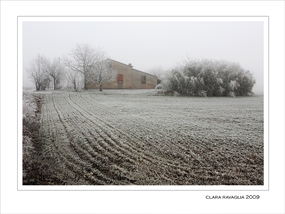 Madre Terra... silenziosa