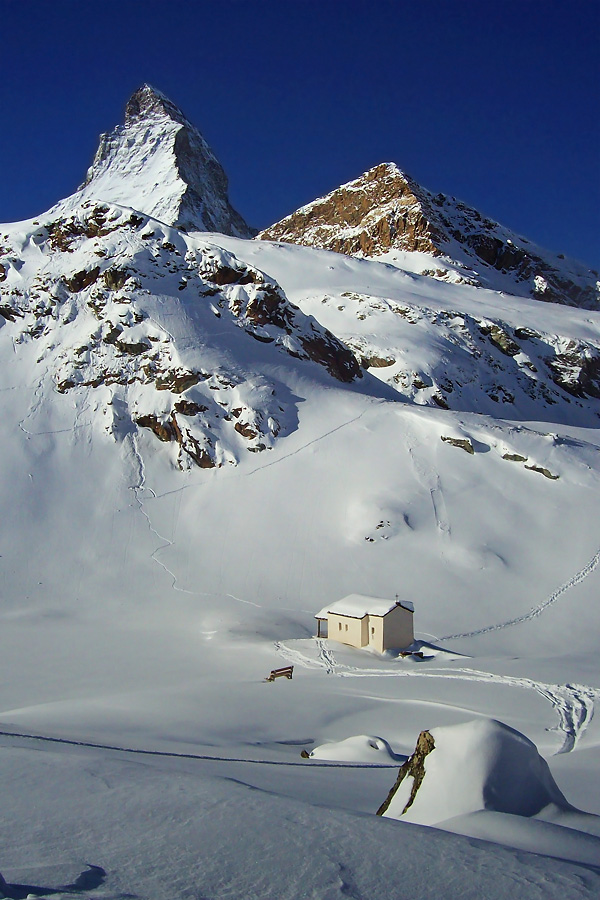 dreaming of another white