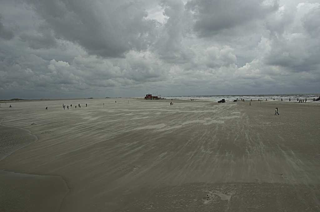 A spasso sulla spiaggia