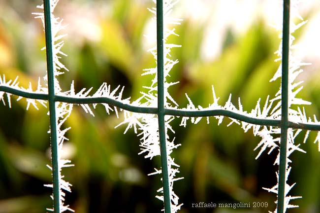05-01-2009 GLACIAZIONE CODIGORESE!
