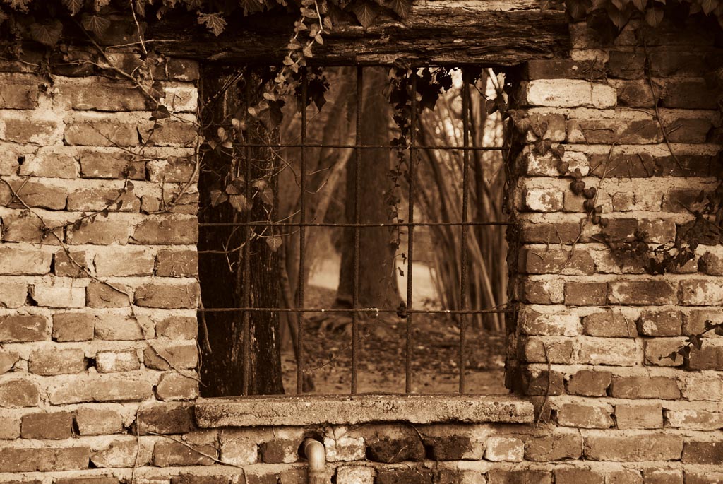 Uno sguardo al.....passato