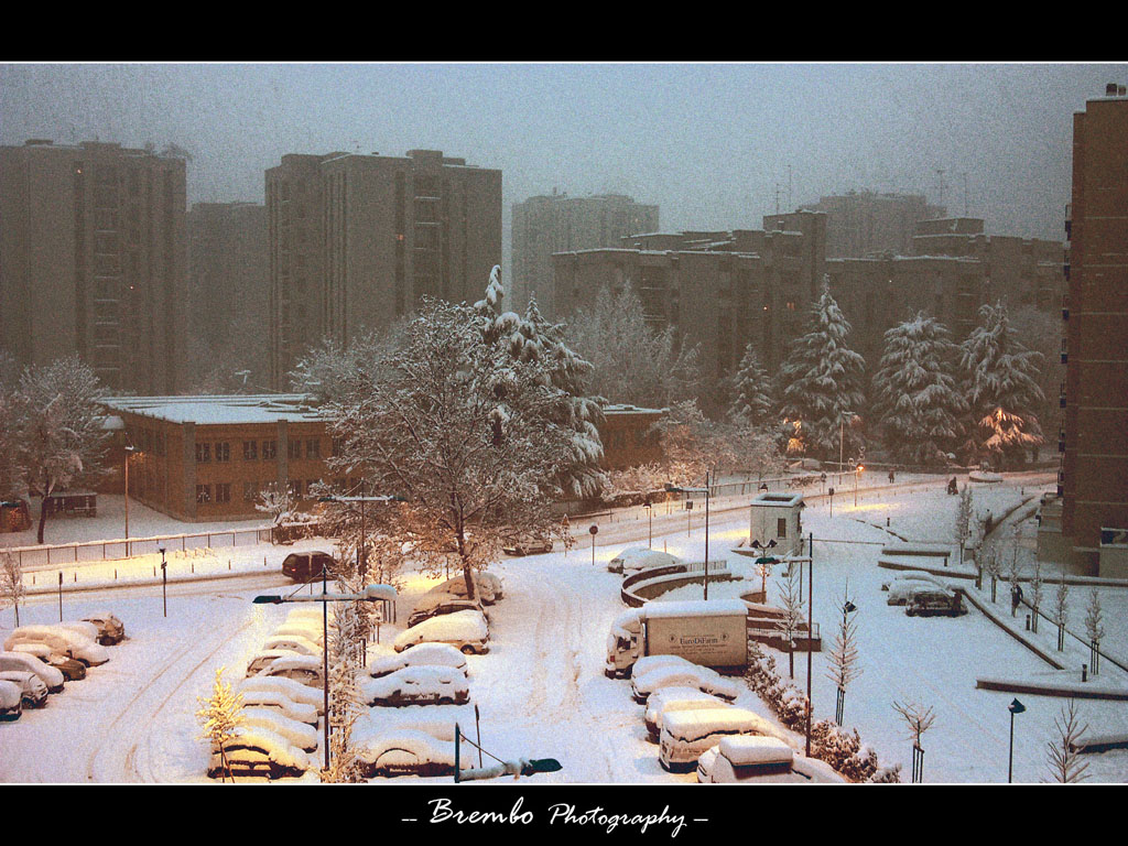 Un risveglio insolito