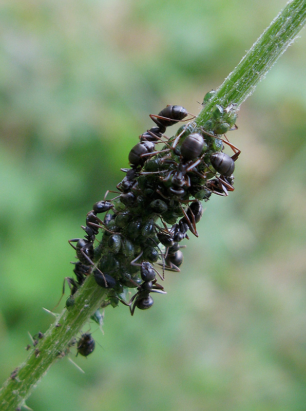 Scusate la confusione, qui si fa festa.