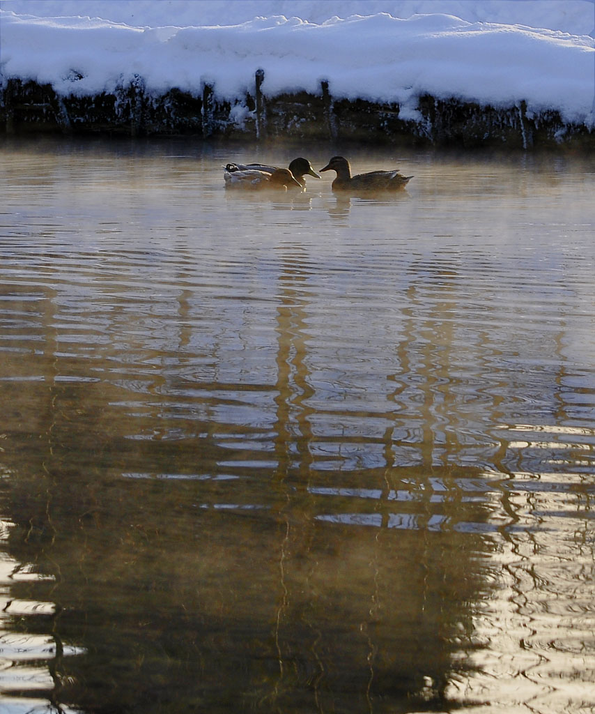 Lago montano all'alba