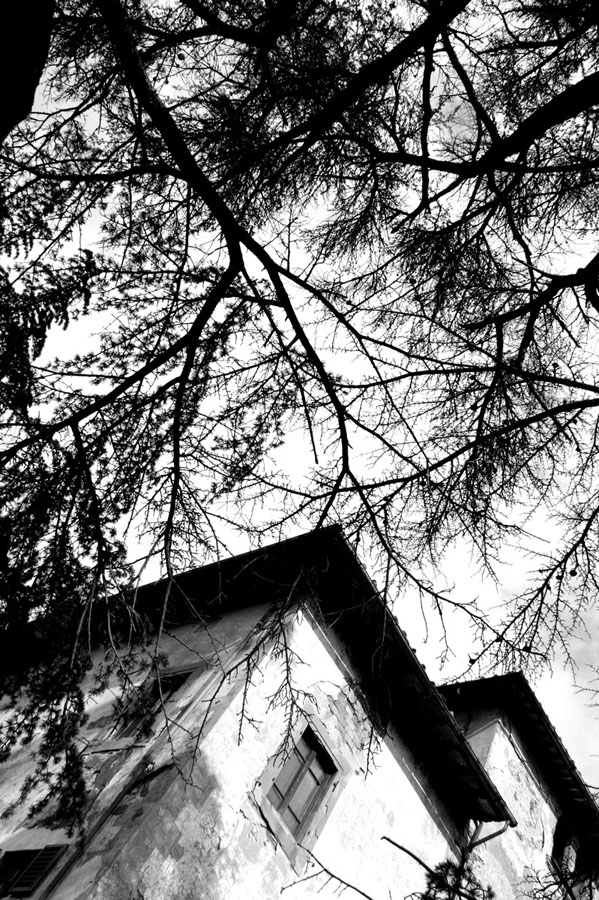 House of fear