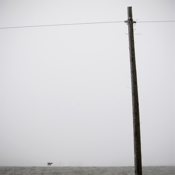 La Mai Finita 2, Viadana 2009