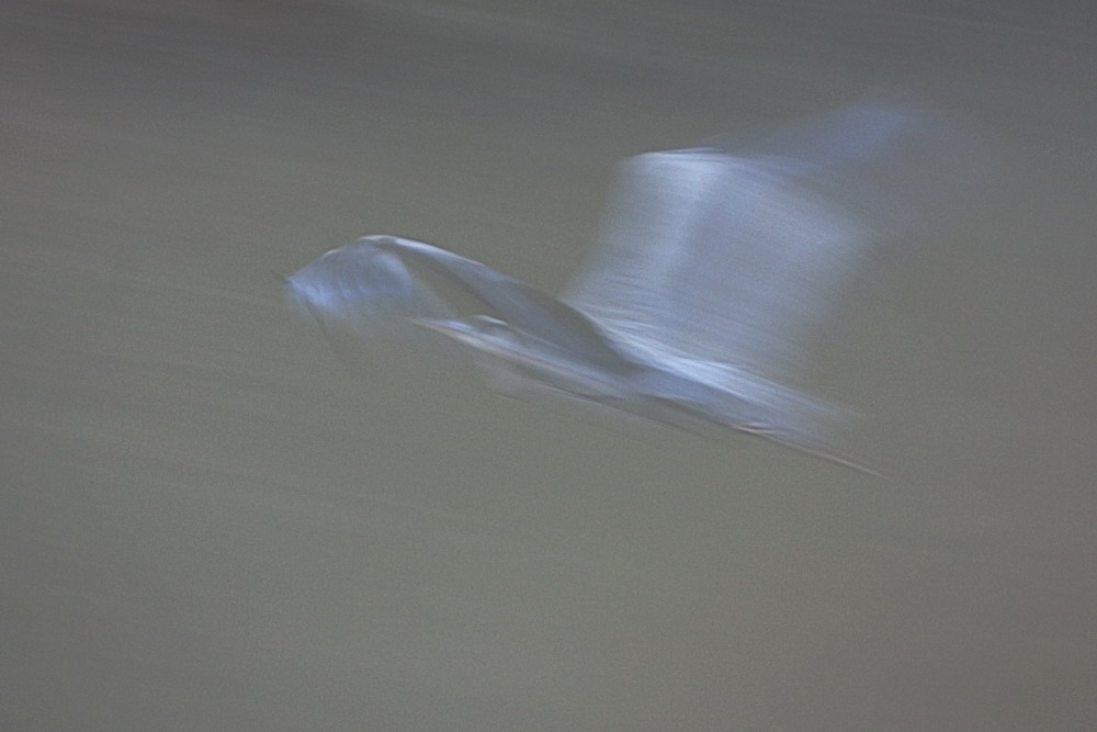 Dipinto fotografico 2