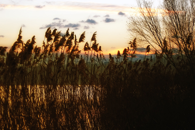 Canneto al tramonto