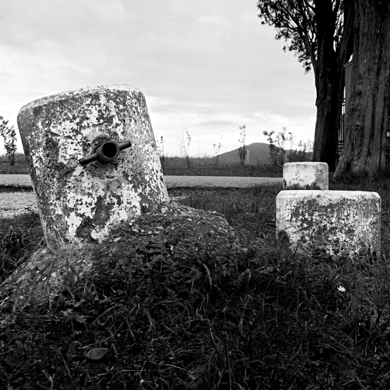 Il mio quartiere 002