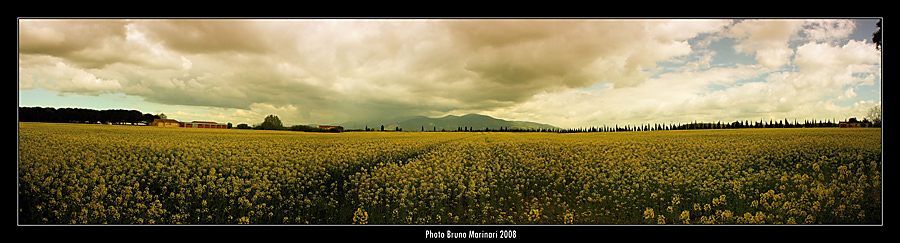 Mi tornano in mente i colori della scorsa primavera.