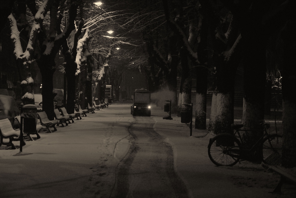 snow chronicles: il viale, la fresa e la bici