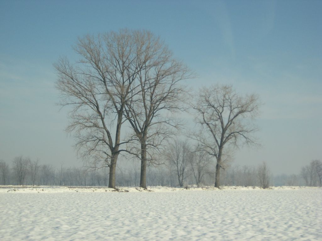 Scatto al volo...congelato