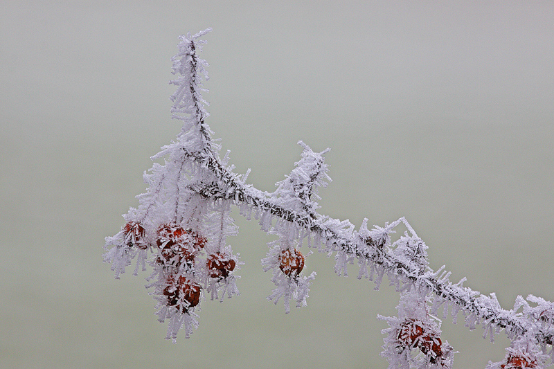 brrrrrrrrrrrrrrrrrrrrrr