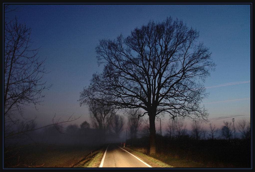 guidando verso la nebbia..all'ora blu