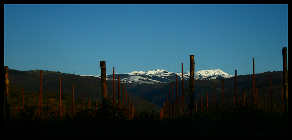 La vista dietro casa