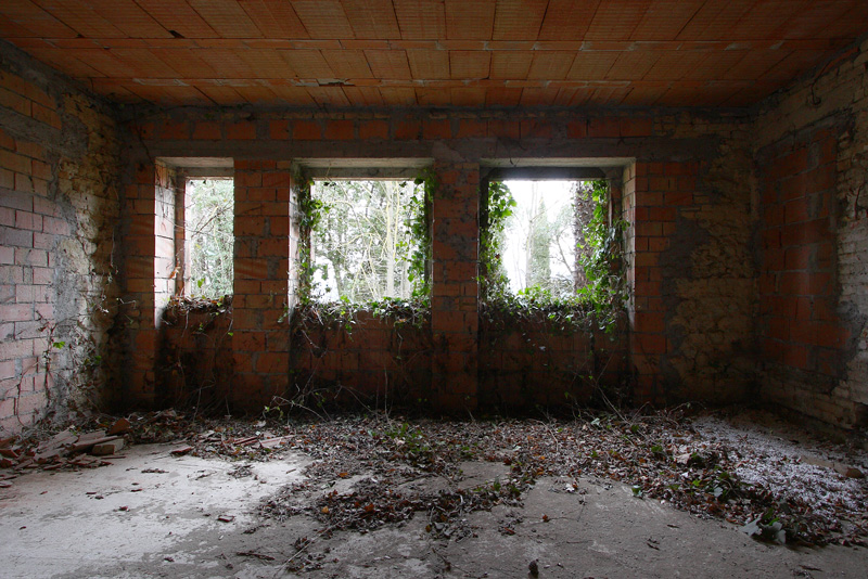 La rivincita della natura