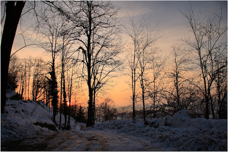 ..l'altro giorno...sulla strada. del bosco..