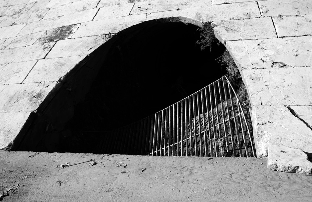 Banchina del Tevere, 11 gennaio 2009