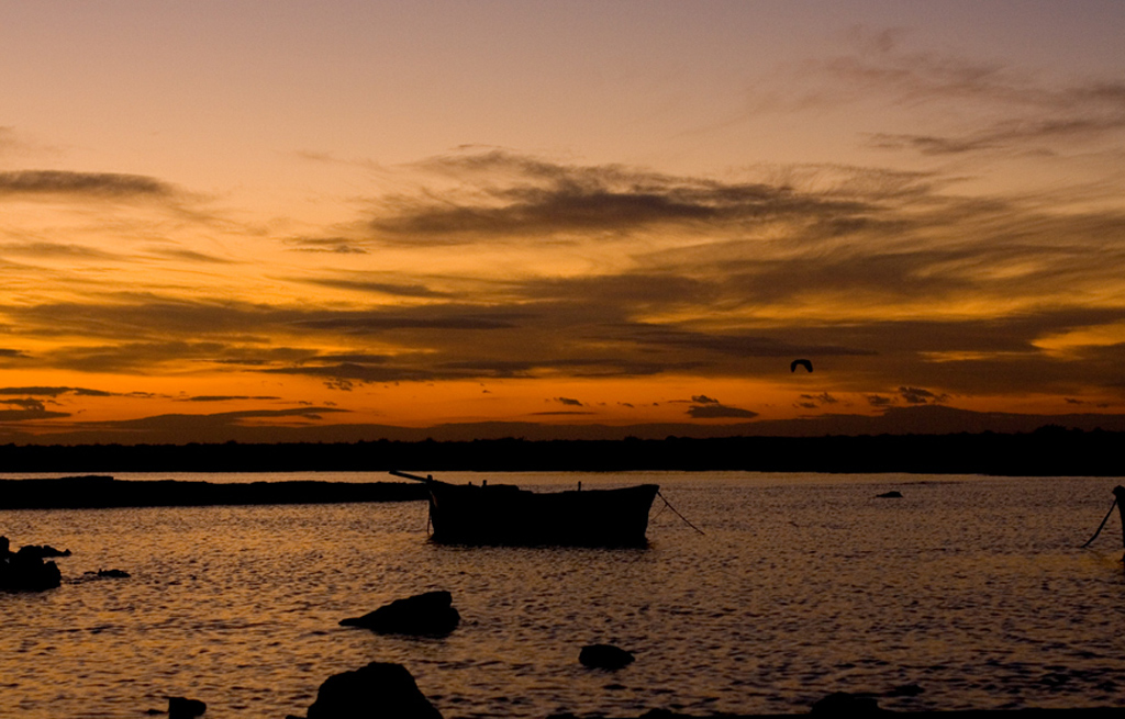 la barca e...l'airone