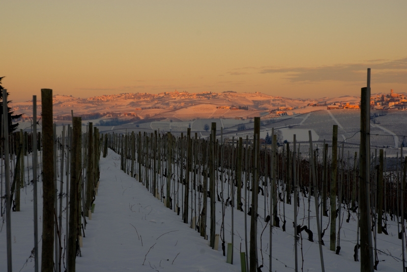snow chronicles: sunset on the grapes