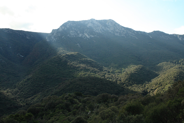 un raggio di sole..............