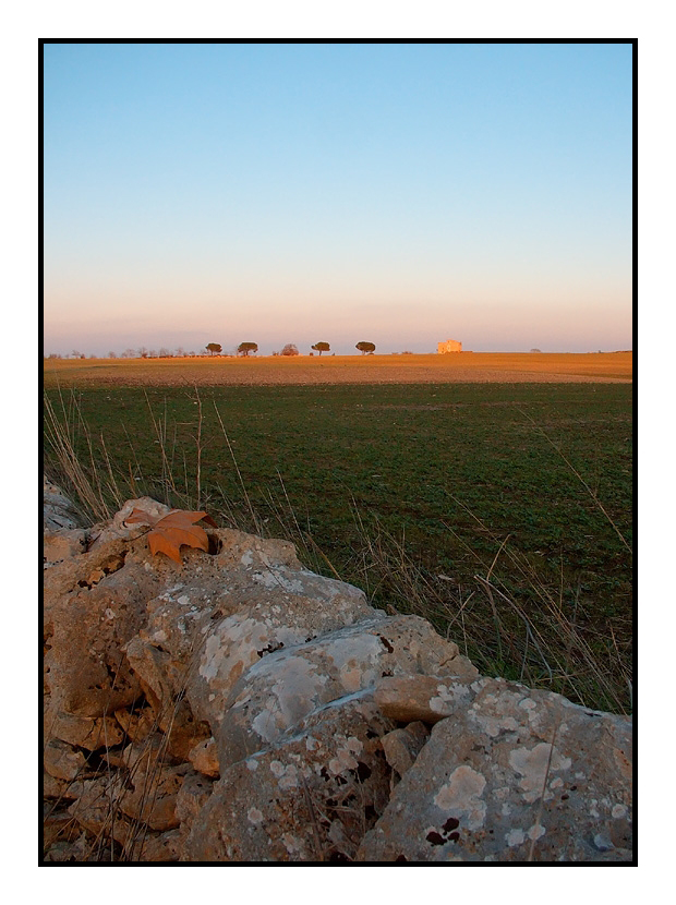 ...OLTRE LA SIEPE...