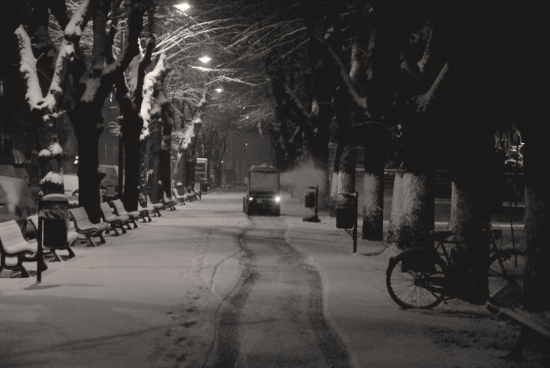 snow chronicles: il viale, la fresa e la bici  - bis