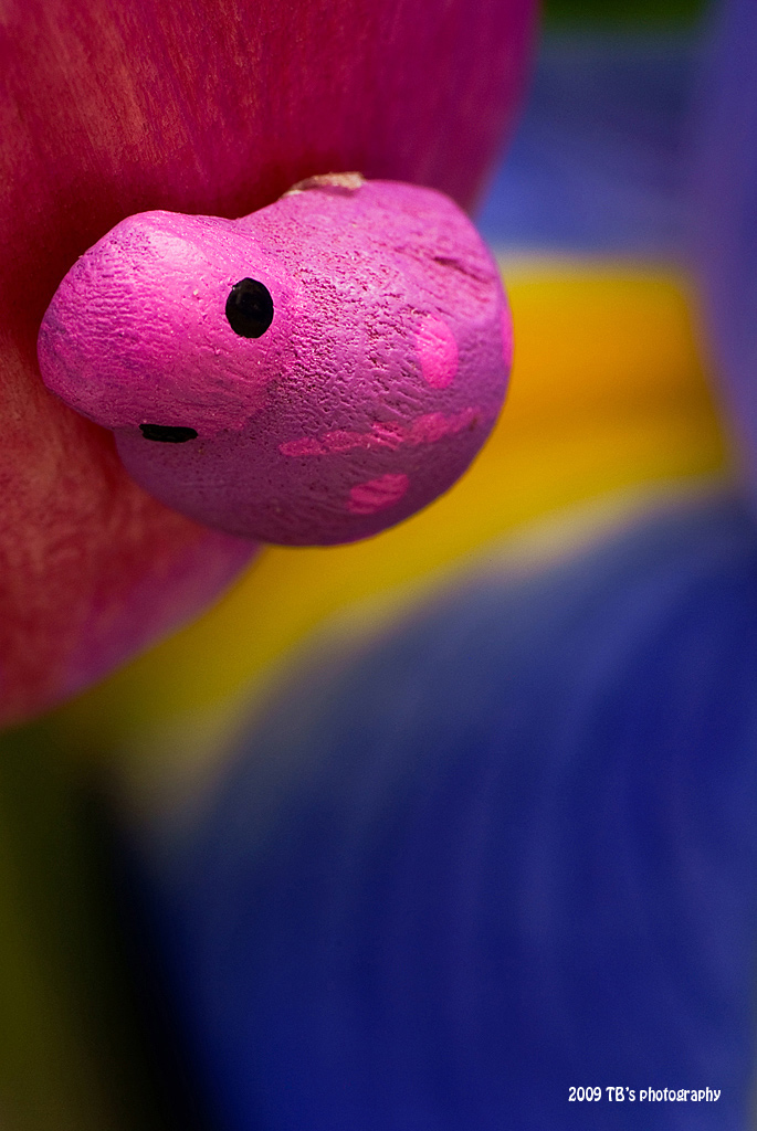 A Fake Ladybug In A Fake Colored World