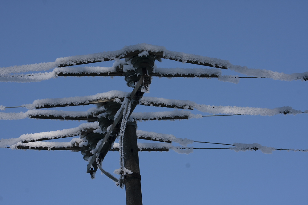 Galaverna...Elettrica