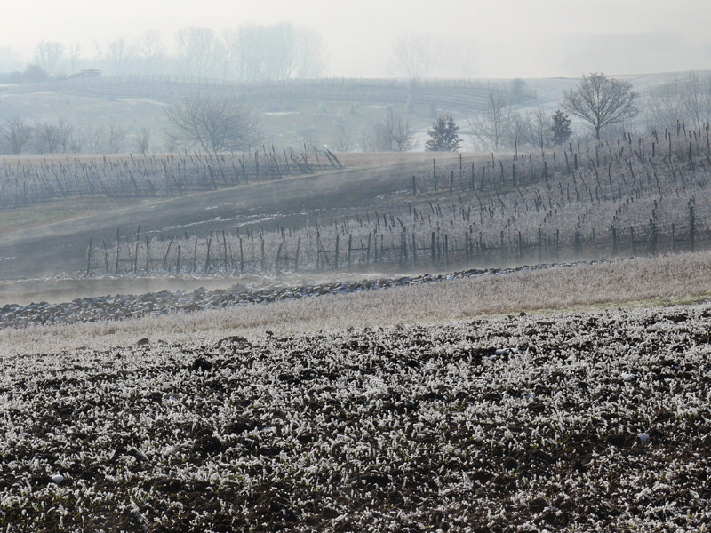 Colline, neve e nebbia