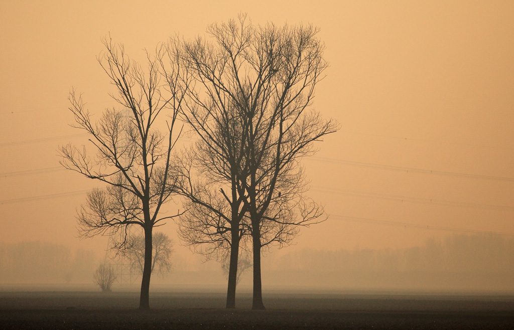 paesaggio padano con nebbia modificata