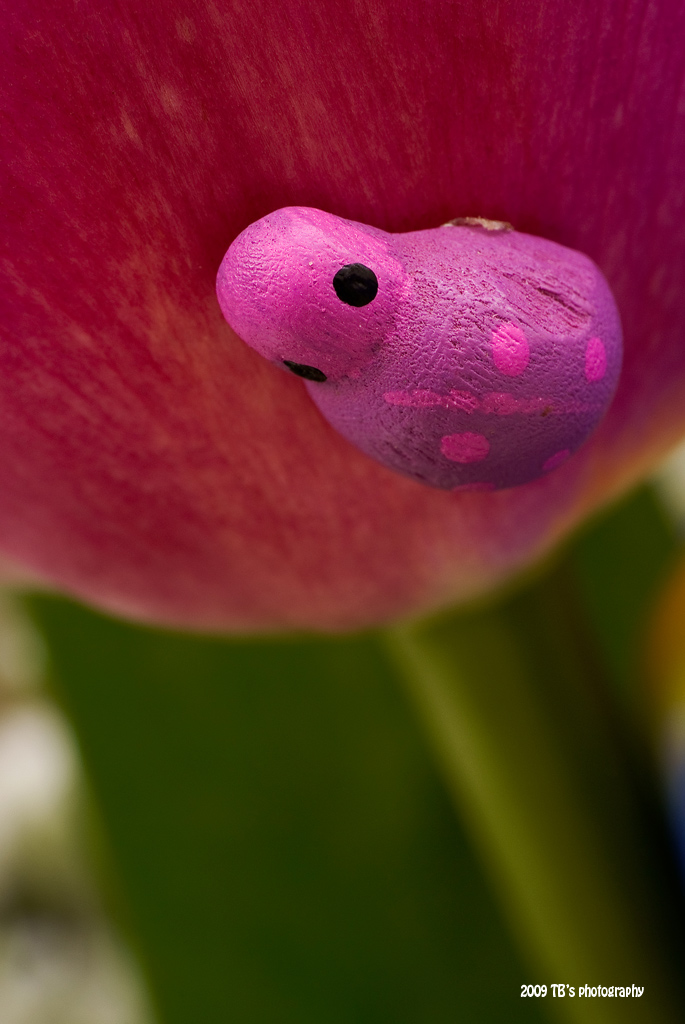 It's just my fake ladybug in her fake colored world