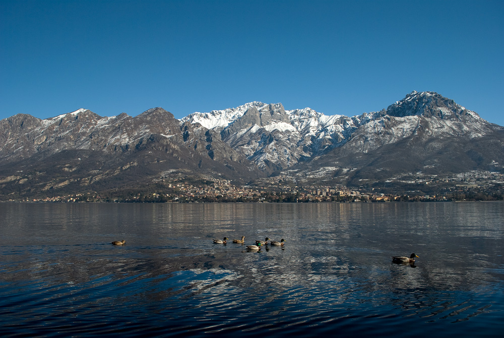 Quel ramo del lago......