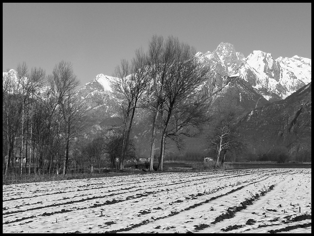 Impressioni di Novembre