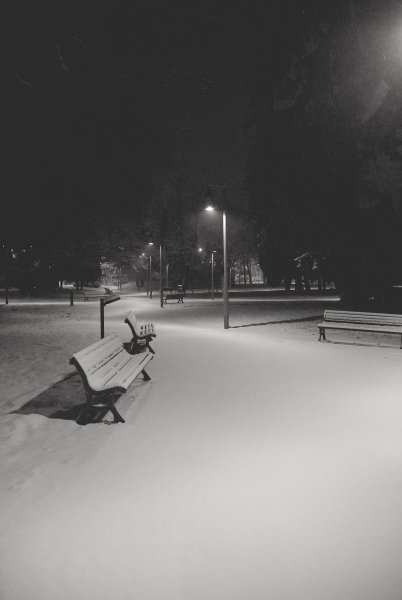 snow chronicles: il viale e la panchina